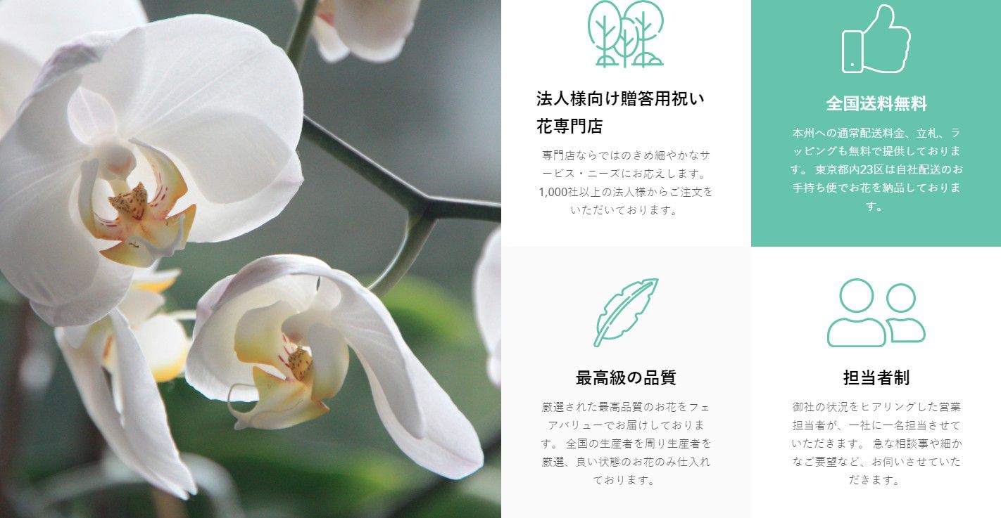 HANAMARO(はなまろ)の白い胡蝶蘭